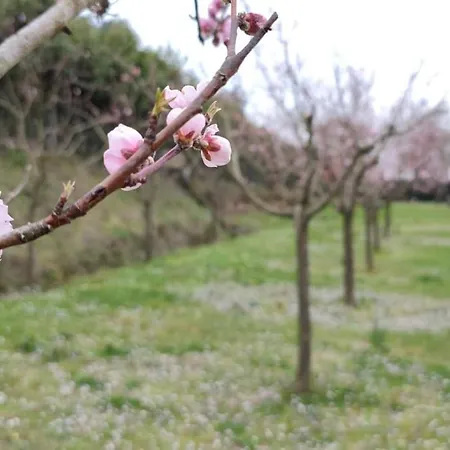 公寓 Casa Rosi, In Campagna, Relax Tra Mare E Montagna Giucano